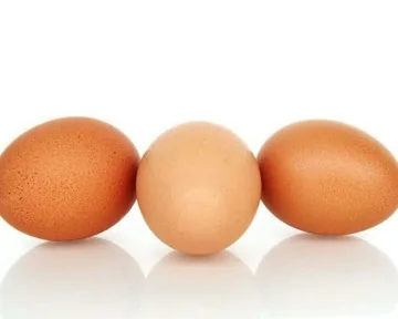 Bild von einem Ei und einem Huhn
