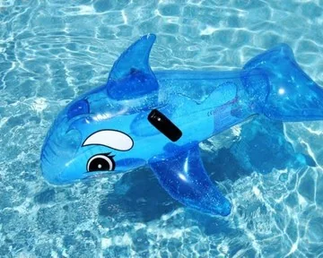 Schwimmbecken und Delfinbild